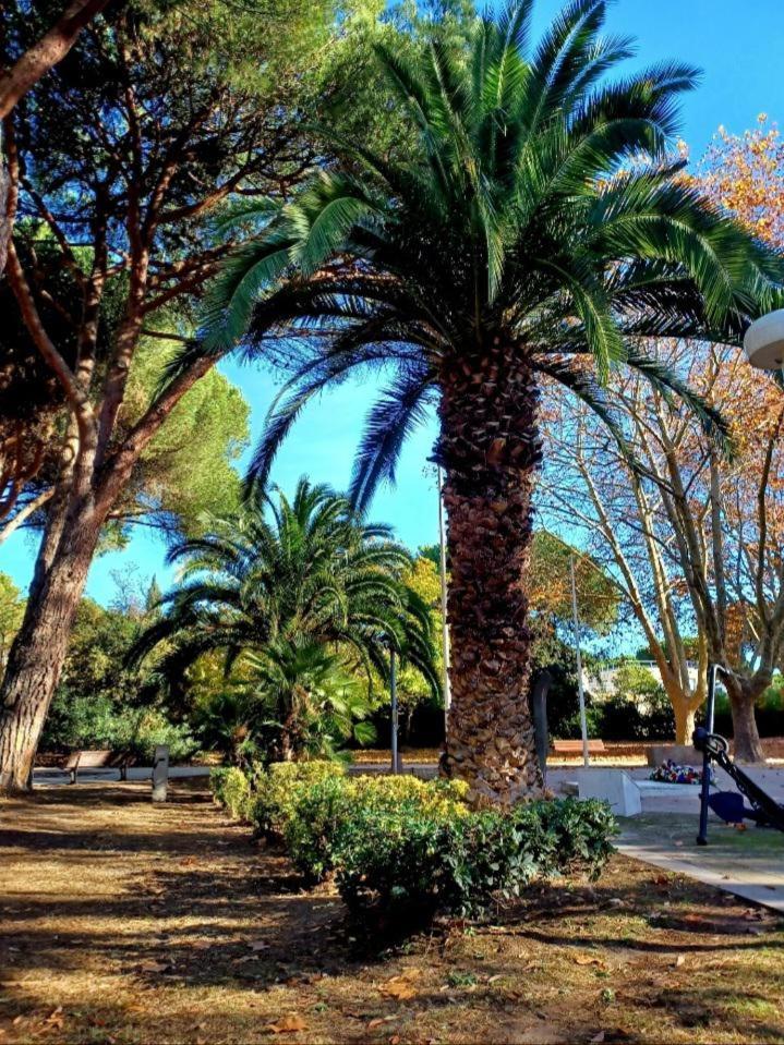 Studio Centre-Ville A 2 Pas De La Plage La Grande Motte Dış mekan fotoğraf